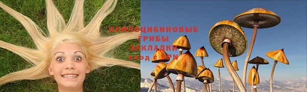 бошки Армянск