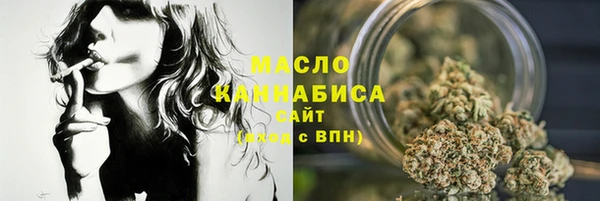 индика Аркадак