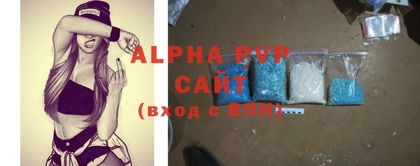 индика Аркадак