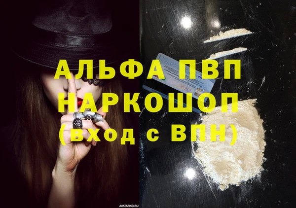 индика Аркадак