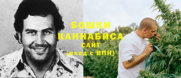 дмт Арсеньев
