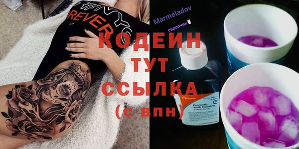 дмт Арсеньев