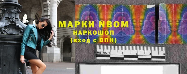 индика Аркадак
