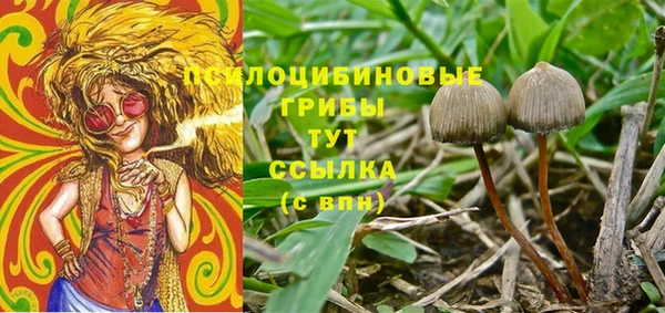 индика Аркадак