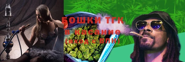 дмт Арсеньев