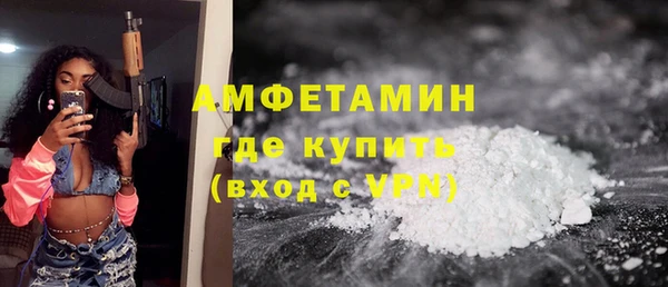дмт Арсеньев