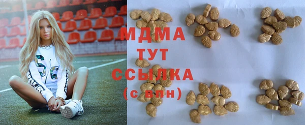 индика Аркадак