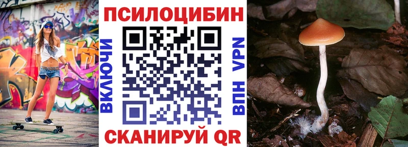 Галлюциногенные грибы GOLDEN TEACHER Верхнеуральск